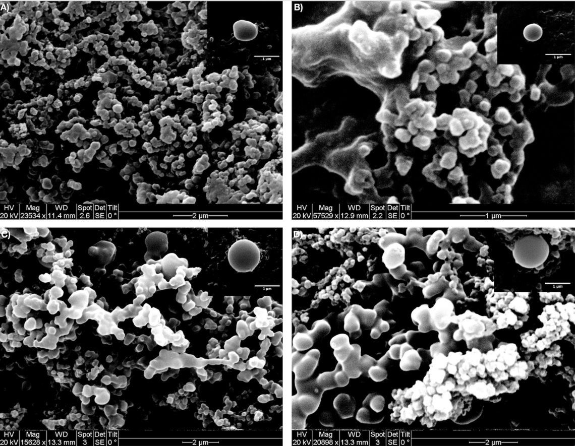 Effects of synthesis-solvent polarity on the physicochemical and rheological properties of poly(N-isopropylacrylamide) (PNIPAm) hydrogels. Effects of synthesis-solvent polarity on the physicochemical and rheological properties of poly(N-isopropylacrylamide) (PNIPAm) hydrogels.