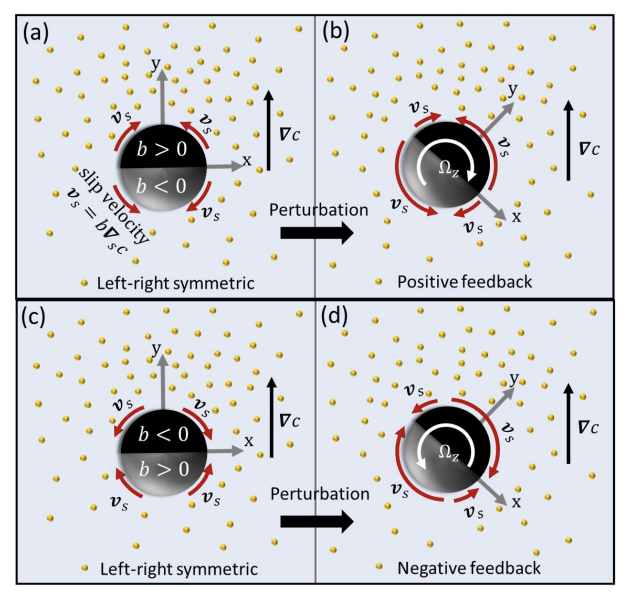 Spontaneous chiralization of polar active particles Spontaneous chiralization of polar active particles