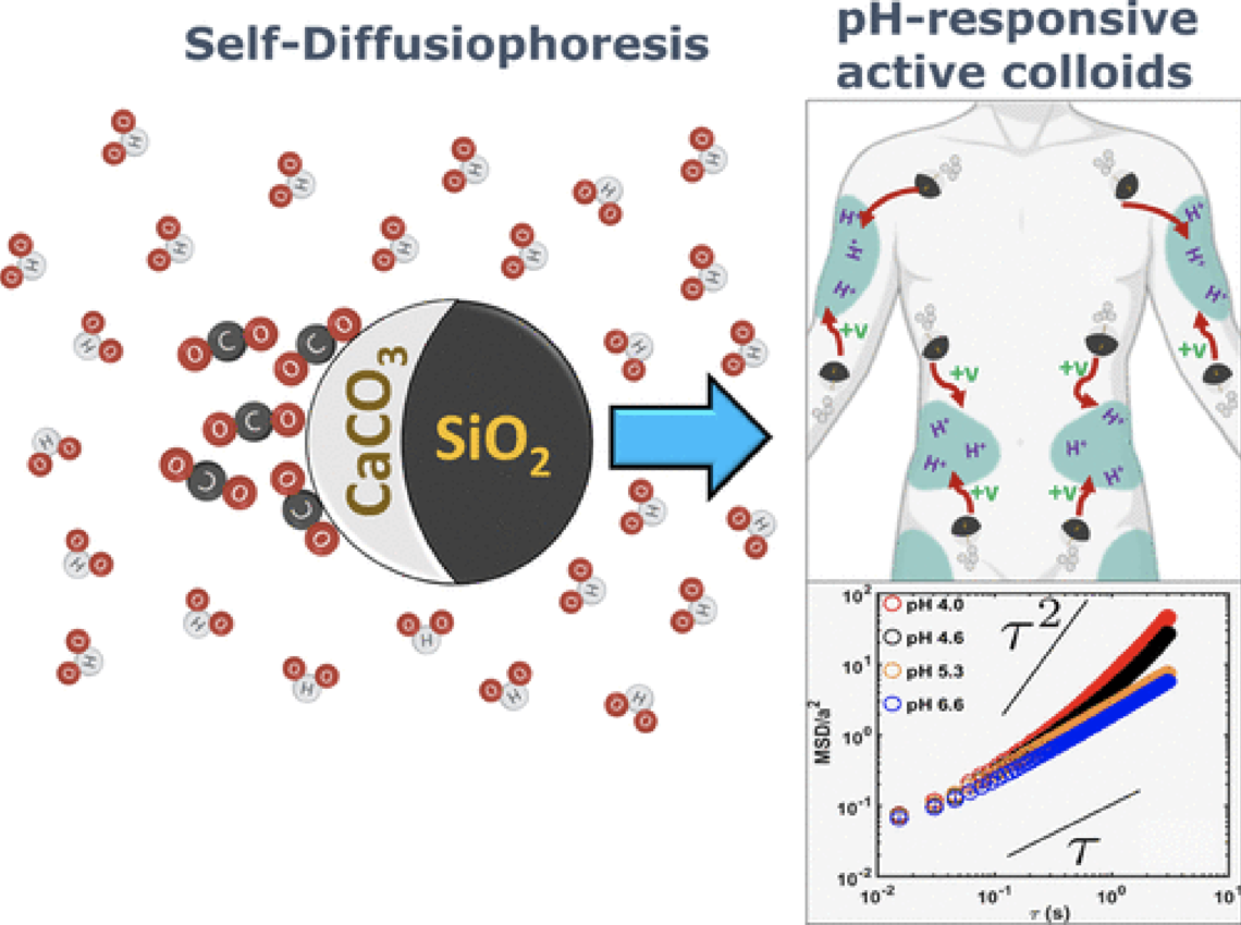 Scalable Chemical Synthesis Route to Manufacture pH-Responsive Janus CaCO3 Micromotors Scalable Chemical Synthesis Route to Manufacture pH-Responsive Janus CaCO3 Micromotors