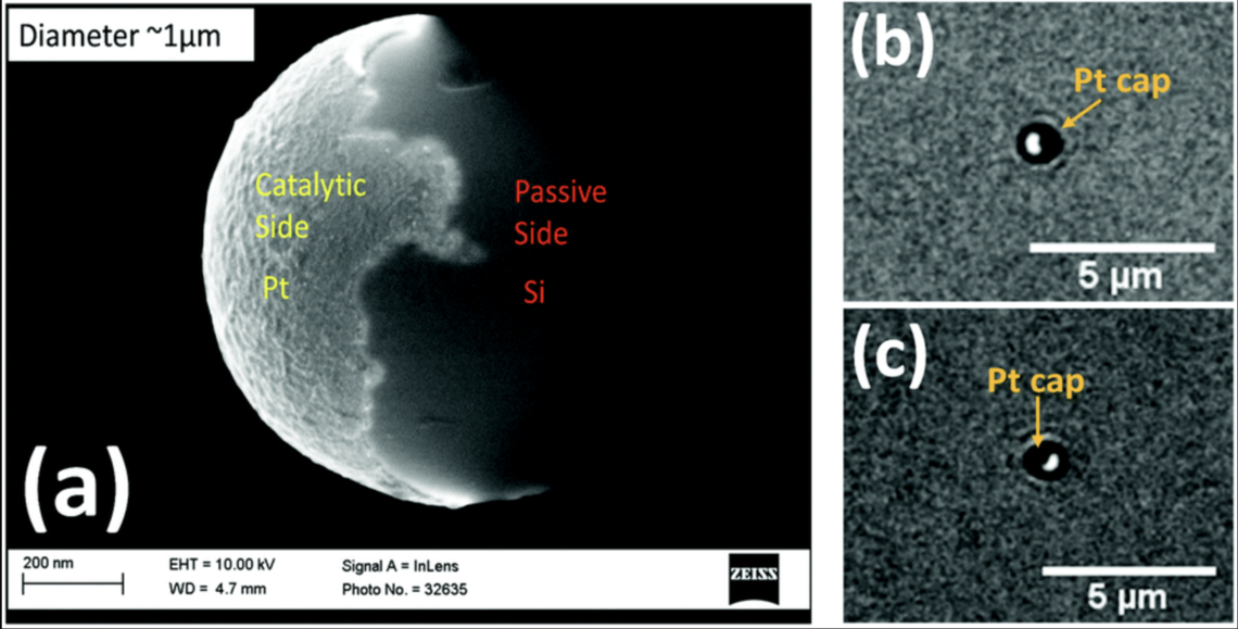 Diffusiophoresis of active colloids in viscoelastic media Diffusiophoresis of active colloids in viscoelastic media