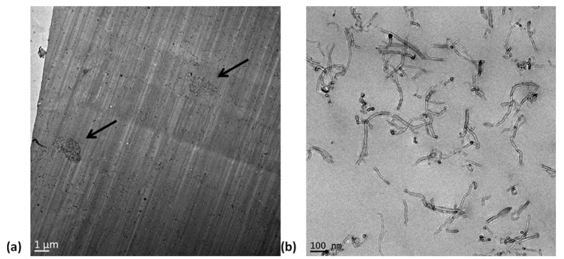 Rheological modeling of carbon nanotube suspensions with rod-rod interactions Rheological modeling of carbon nanotube suspensions with rod-rod interactions