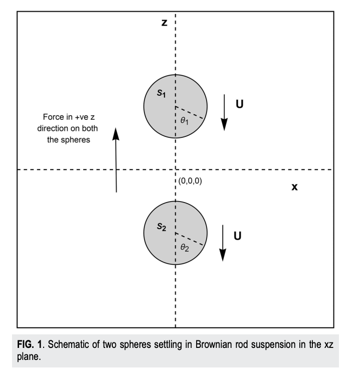 Settling dynamics of two spheres in a suspension of Brownian rods Settling dynamics of two spheres in a suspension of Brownian rods