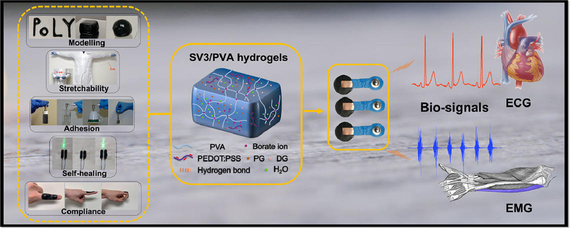 Self-healing, stretchable, and highly adhesive hydrogels for epidermal patch electrodes Self-healing, stretchable, and highly adhesive hydrogels for epidermal patch electrodes