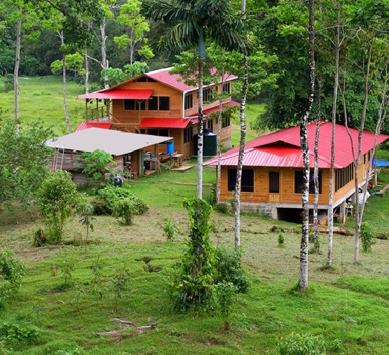 ITEC Research Station in the trees