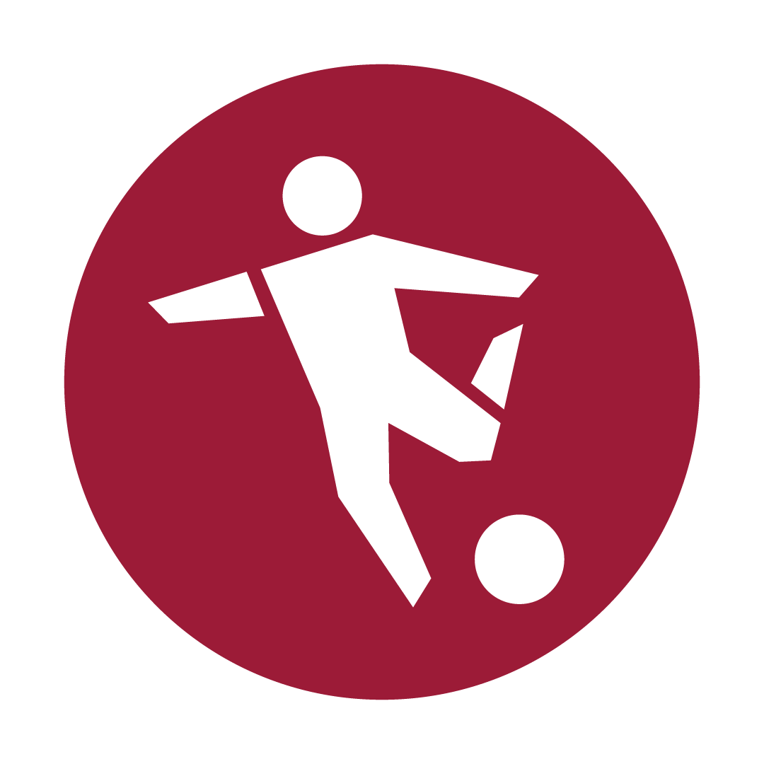 SIPRC Soccer Icon