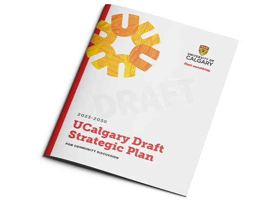Front cover of the draft strategic plan.