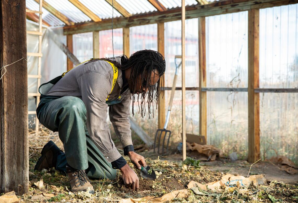 A PHD student kneels and works in a greenhouse.