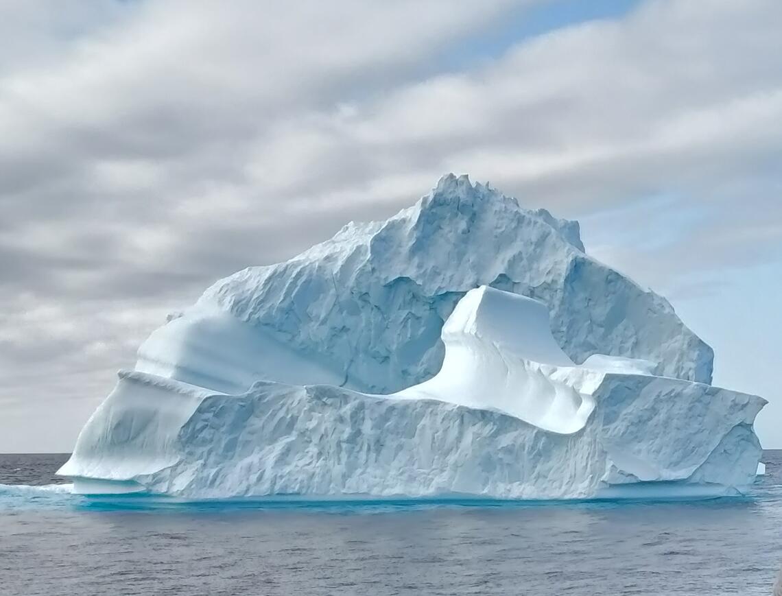 Arctic Marine Microbiome