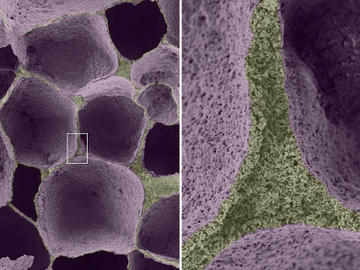 Journal of Colloid and Interface Science (2012)