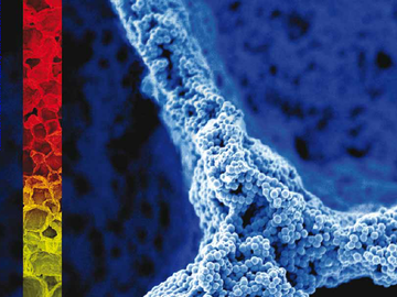 Journal of Materials Chemistry (2010)