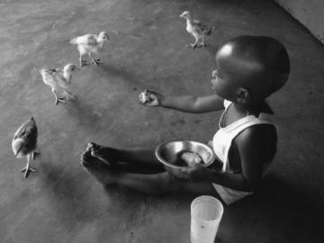 Image of a boy feeding chickens