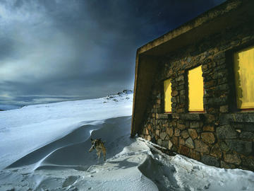 Image of a dog leaping outside a cottage in the snow at night