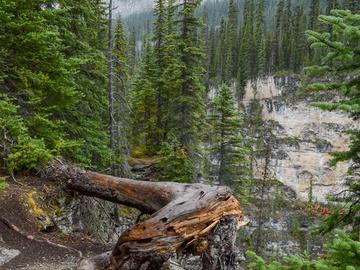 Banff