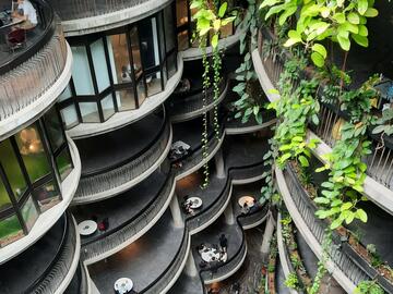 This is a view from one of the top floors of this Singapore building. Vines fall gracefully off the top floor falling down the other storeys.