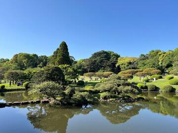 Green garden across a lake