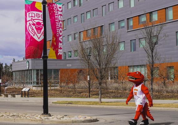 Rex walking around Campus