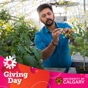 Photo of a researcher in a greenhouse