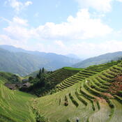 In a green valley with rice fields rising up on the surrounding hills