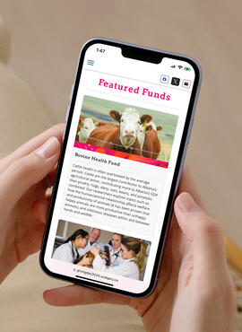 Mobile phone held in hand