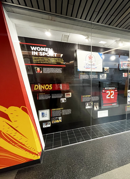 Display case of memorabilia for Women in Sport