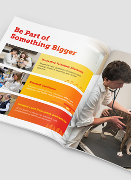 An open brochure