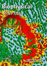 Baoukina et al. 2014