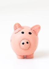 a pink piggy bank