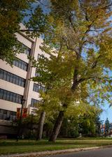 main campus during fall