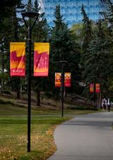 campus walkway during fall