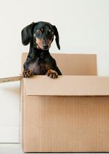 Enrolment Servcies is moving