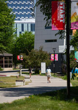 pathway on main campus during summer