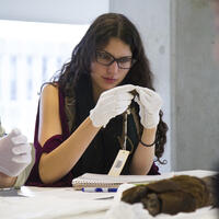 A student closely examines an artifact while wearing gloves.