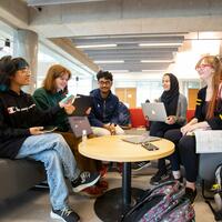 Students working and studying together