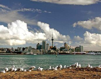 Looking at Auckland from across a narrow strait, with gulls on the beach
