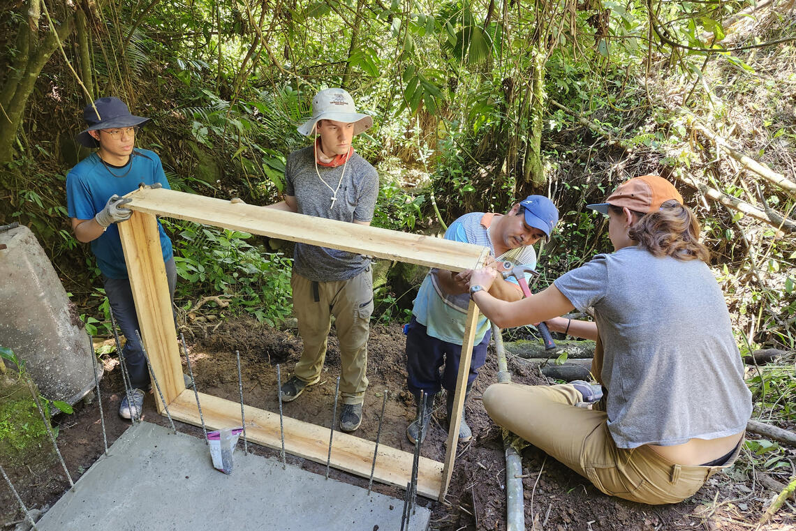 A group of people work in a jungle