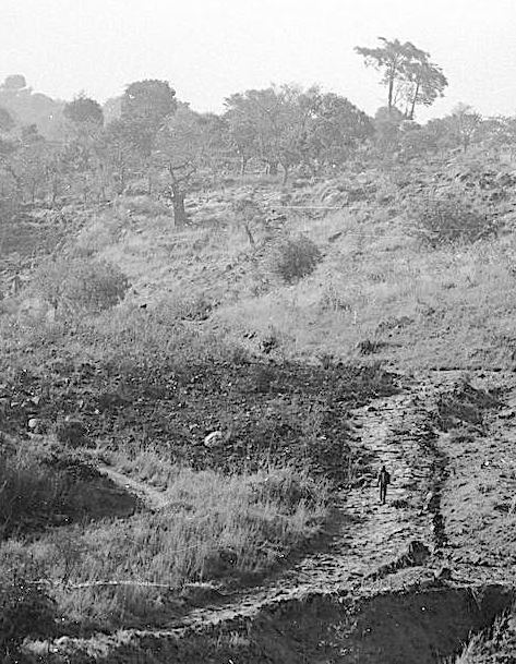 Paved way below Ndillei