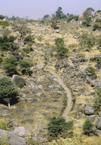 E Paved Way