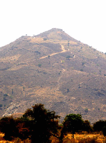 SDA road