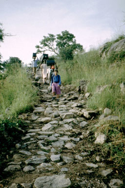 Northern paved way 