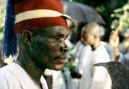 Mara Pou, the Dalate
